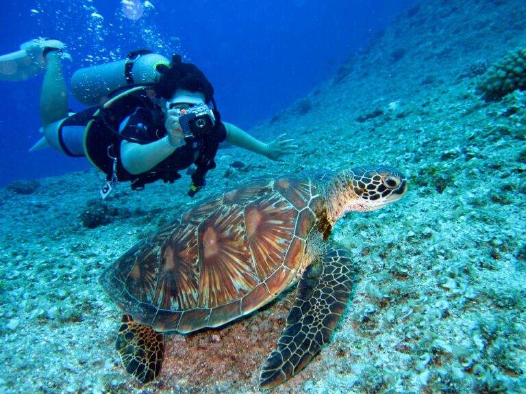 Scuba diver captures a close-up shot of a sea turtle in its natural habitat.