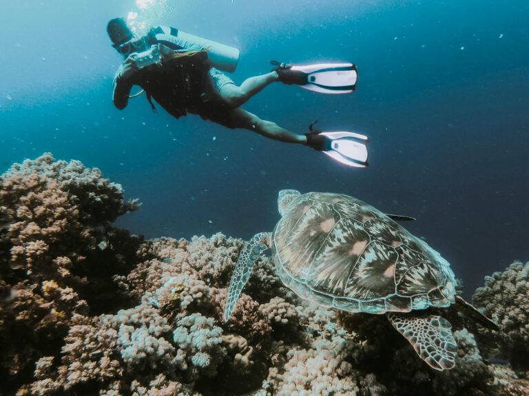 Diver exploring coral reef alongside a swimming sea turtle in clear tropical waters.