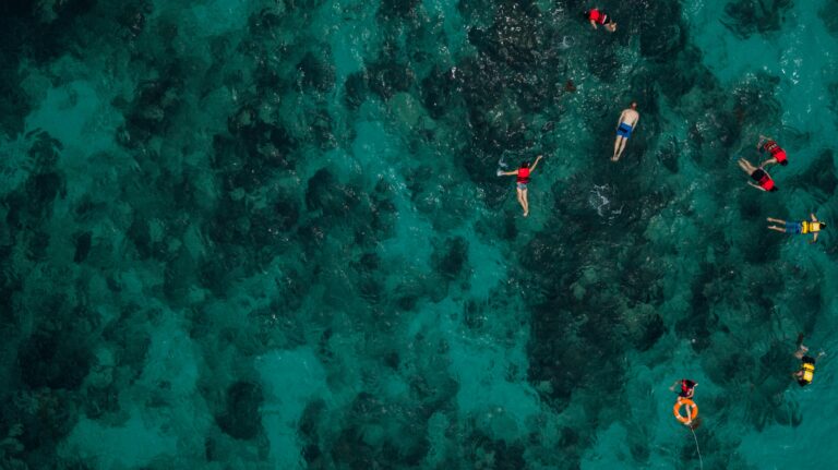 Group of people snorkeling over vibrant coral reefs, captured from above in clear turquoise waters.