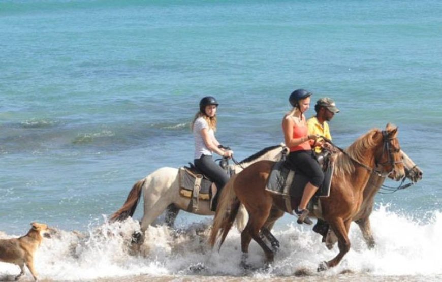 Horse Back Riding