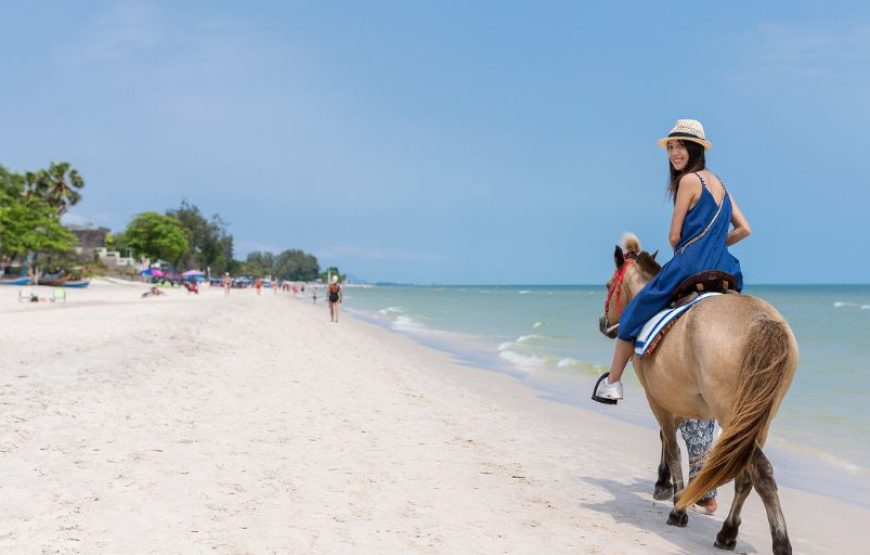 Horse Back Riding