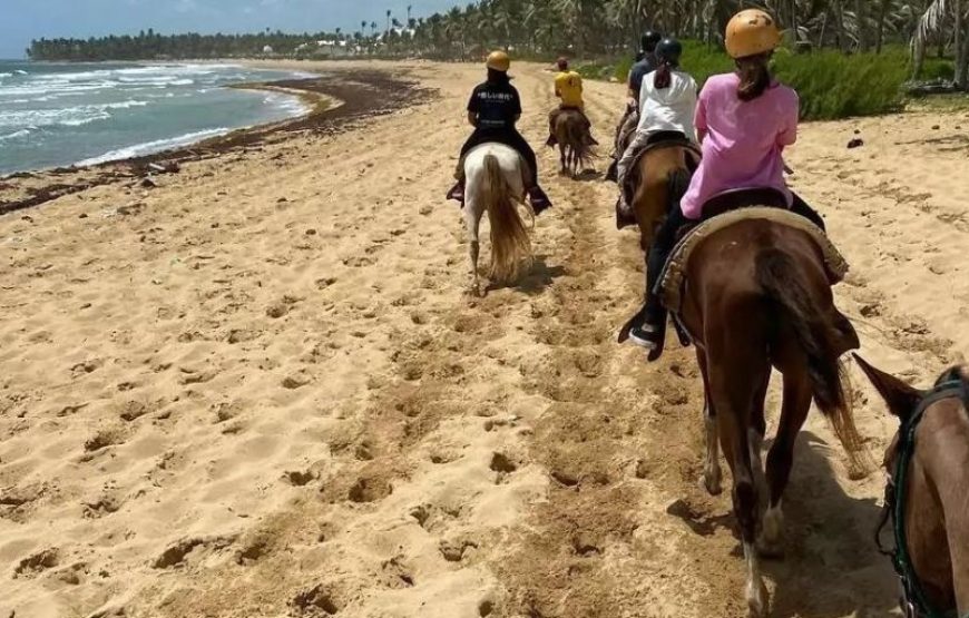 Horse Back Riding