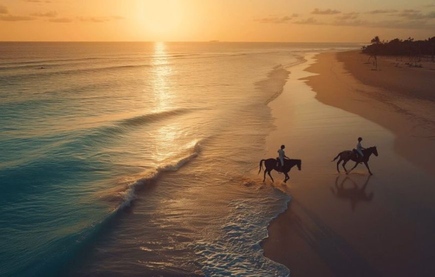 Horse Back Riding