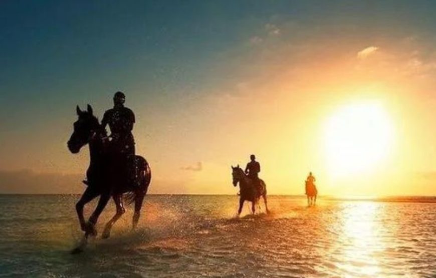Horse Back Riding