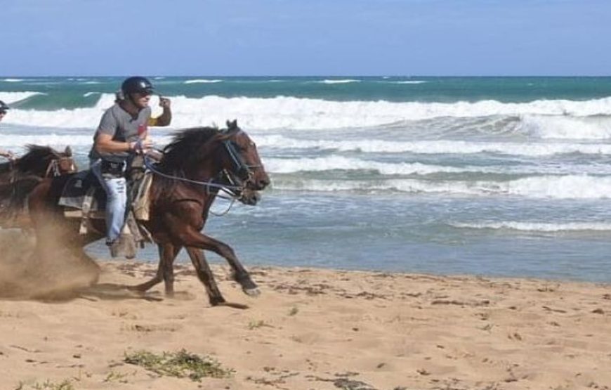Horse Back Riding