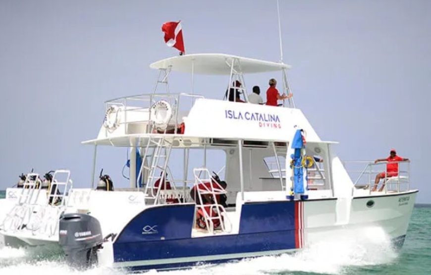 Catalina Diving