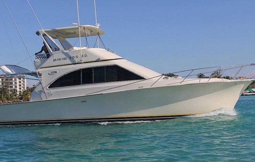 Deep Sea Fishing