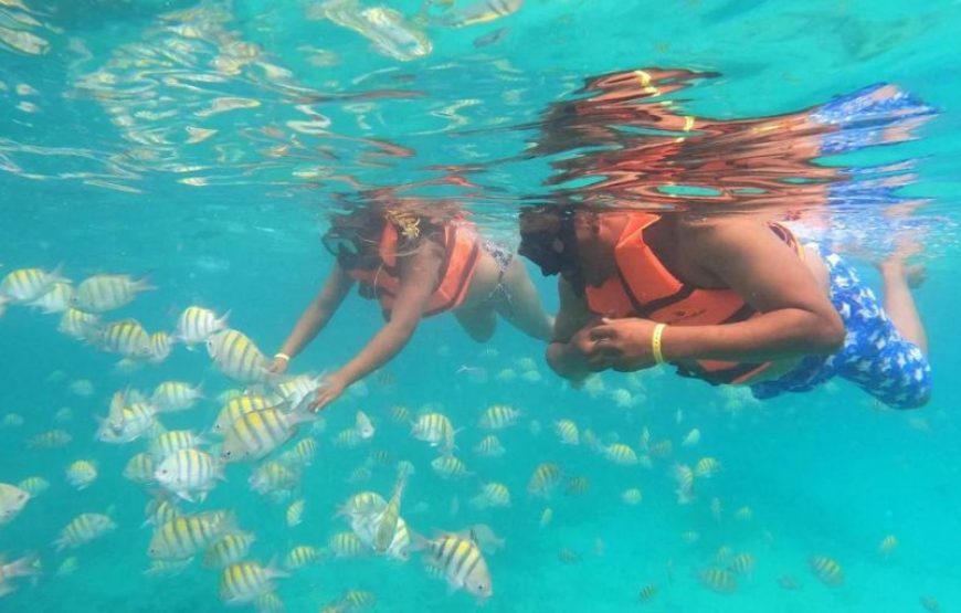Speed Boat and Snorkling