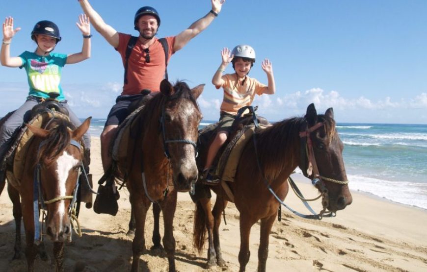 Horse Back Riding