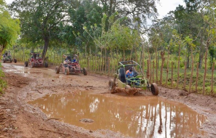 Buggy Adventure Off Road